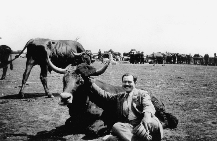 EH 7976P  circa summer 1927  Ernest Hemingway with bull, near Pamplona, Spain. Photograph in the Ernest Hemingway Photograph Collection, John F. Kennedy Presidential Library and Museum, Boston.