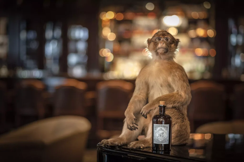 Monkey 47 Schwarzwald Dry Gin